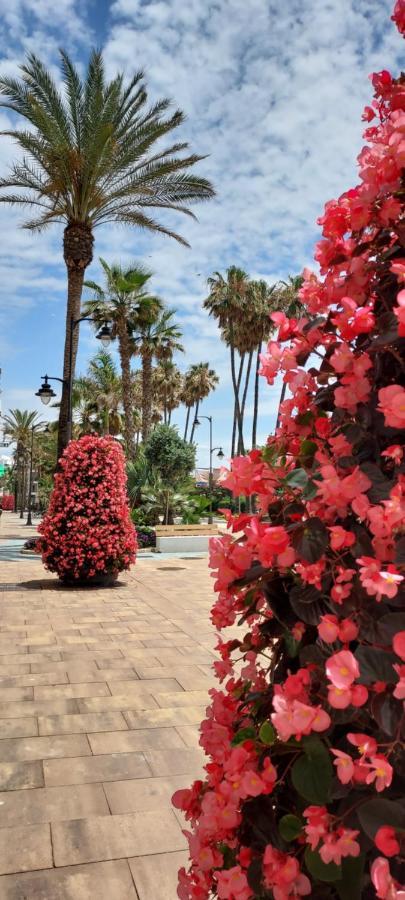 Apartamento A 150 Metros De La Playa Y Del Puerto Deportivo Estepona Exterior photo